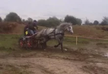 280820101943.webp