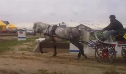 280820101937.webp
