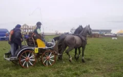 280820101977.webp