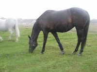 x_e7b89aec.webp