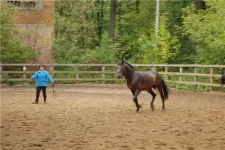 фурмама2.webp