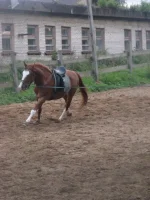 x_7cdbffb4.webp