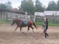 x_071a6951.webp