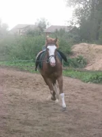 x_3674fa44.webp