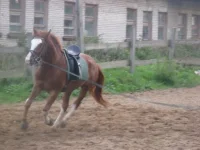 x_abd93083.webp