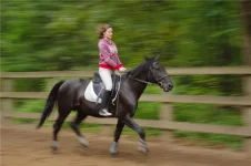 Мемфис.webp
