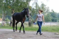 x_b3aa566f.webp
