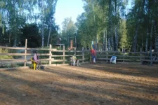 x_07df0423.webp