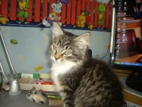 IMGP2043.webp