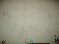 S6003427.webp