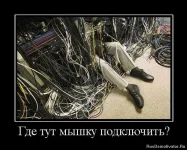 1284302137_tmpvzlncn.webp