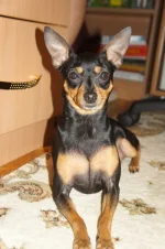 DSC00305.webp