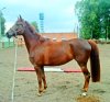 DSC00393.JPG