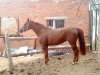 DSC00313.JPG