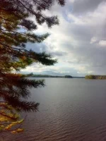 180920102566.webp