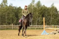 a265bee13e1e[1].webp
