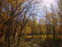 S6004679.webp