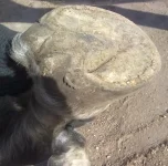 170920102108.webp