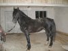 0_3761e_6baa8d69_L[1].jpg