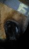 20151110_192624.jpg