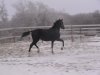 DSC00167.JPG