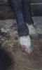 20151206_193630 (480x800).jpg