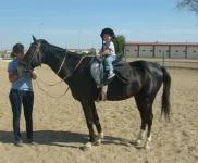 Ириша Мелесакар.webp