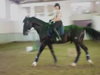 P1070780.webp