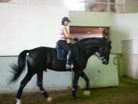 P1070730.webp