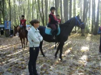 x_5f24e903.webp