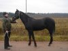 DSC08778.JPG