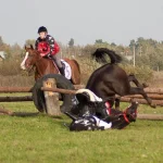 x_0a0b297d.webp
