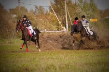 x_2b3e1319.webp