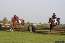 x_68495953.webp