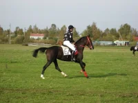 x_dd227266.webp