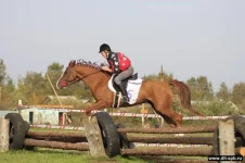 x_bad262ab.webp