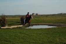 x_ca767852.webp
