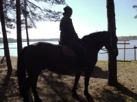 22.webp