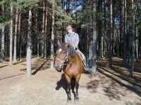 33.webp
