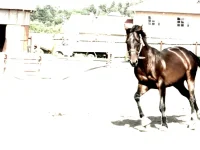 x_aec5a819.webp