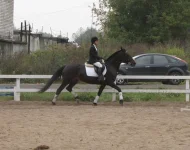 x_1d672069.webp