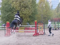 x_2a447c9f.webp