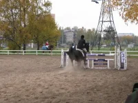 x_03f5fffa.webp
