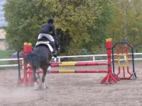 x_4b5bd282.webp