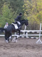 x_788d71e5.webp