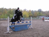 x_bdccb986.webp