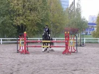 x_e656bb13.webp