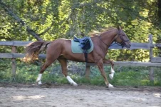 x_a94cd2bd.webp