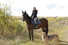 д14.webp