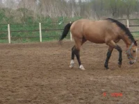 x_6d2a949d.webp